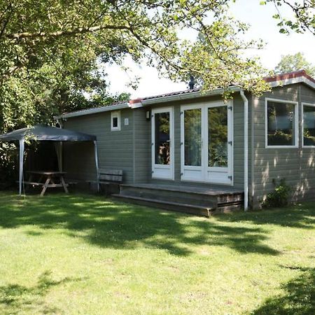 Tzummarum Een Chalet Met Prive Sauna En Tuin 빌라 외부 사진
